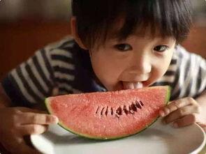 娱乐吃瓜酱一年级